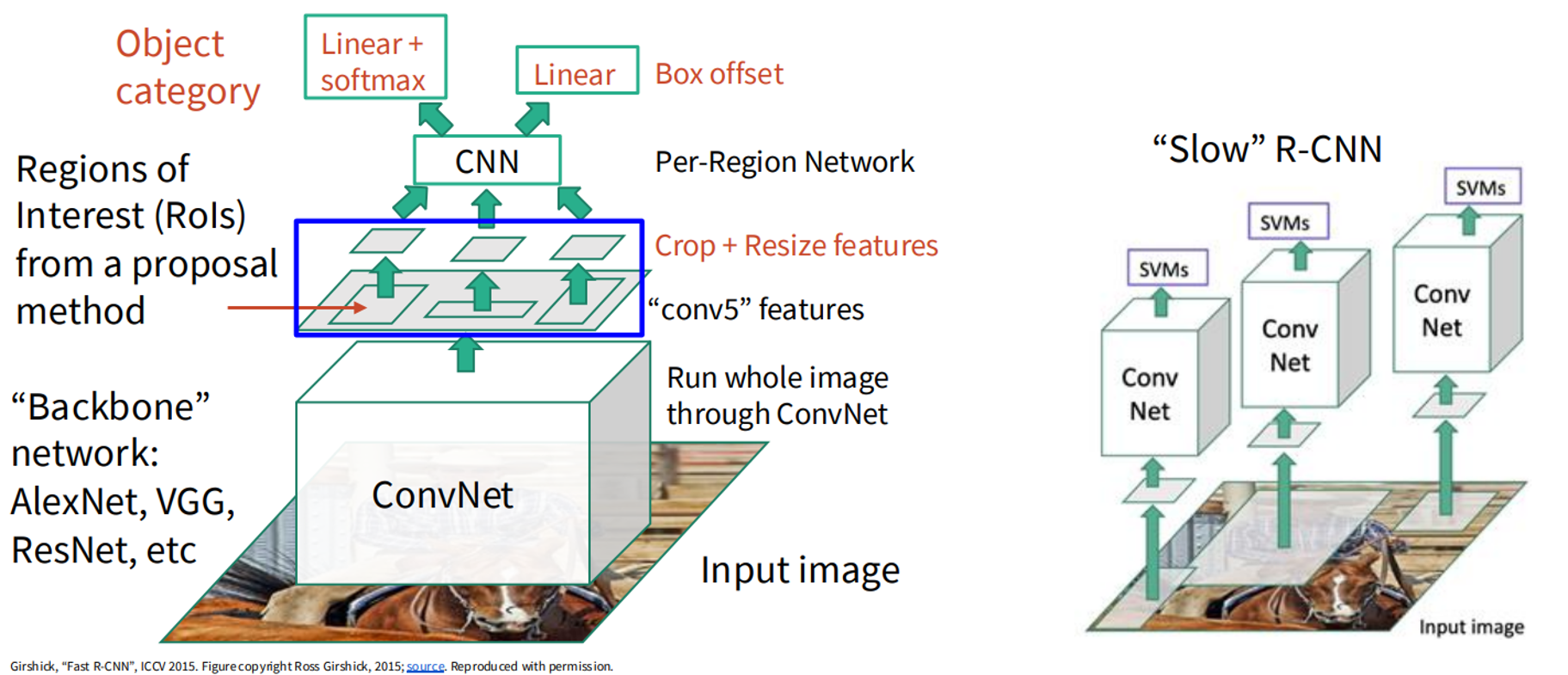 image info