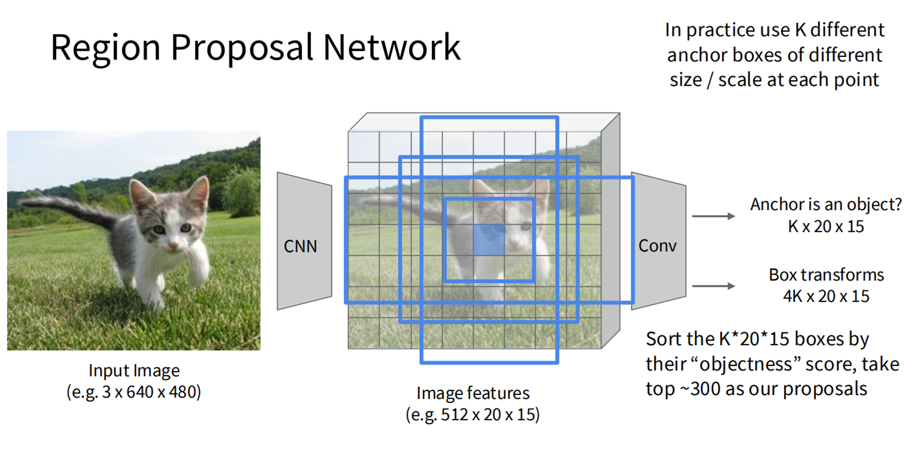image info