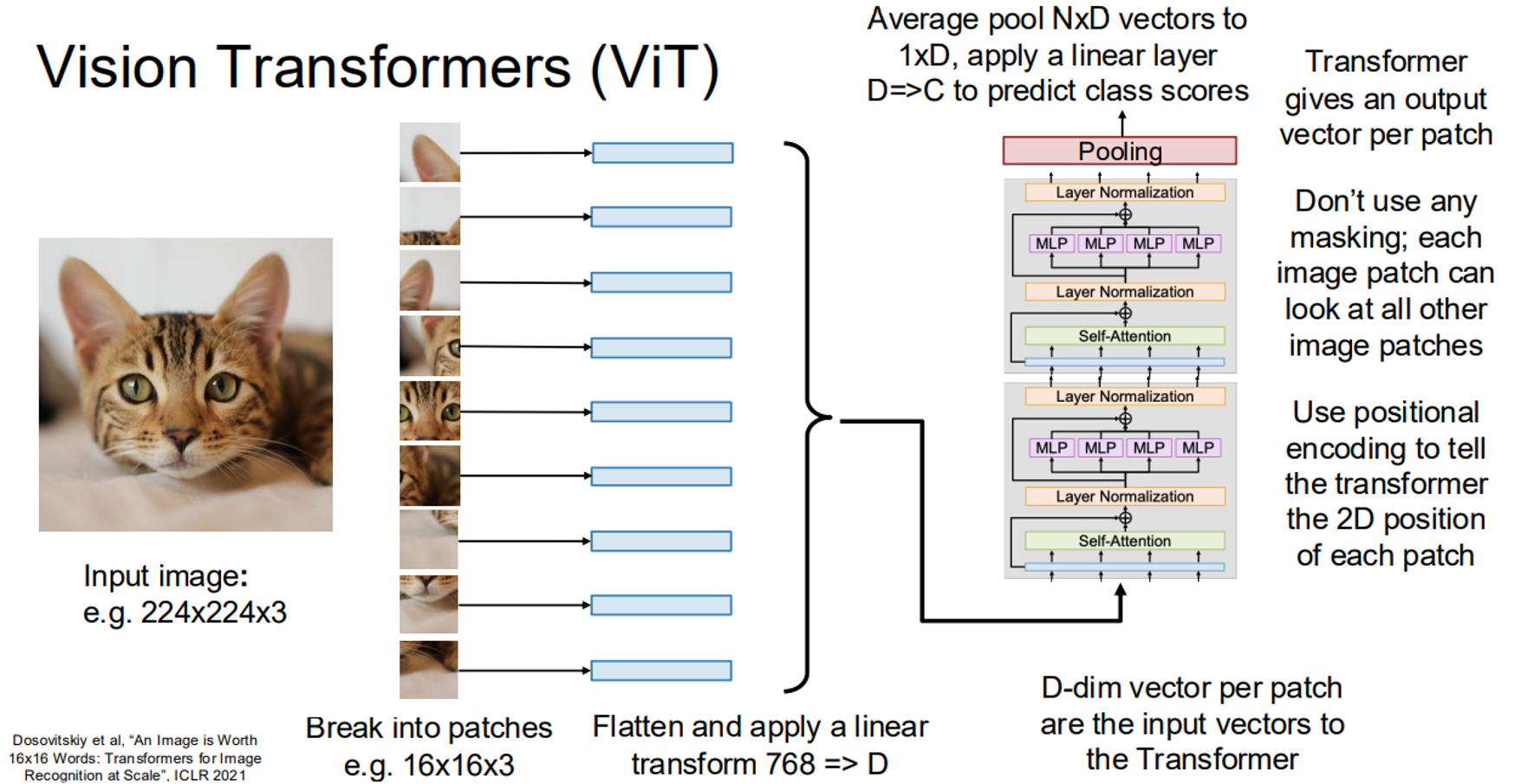 image info